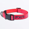 Dog Collar