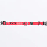 Dog Collar