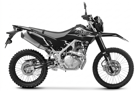 CARBON DELIGHT (KLX230 CKD)